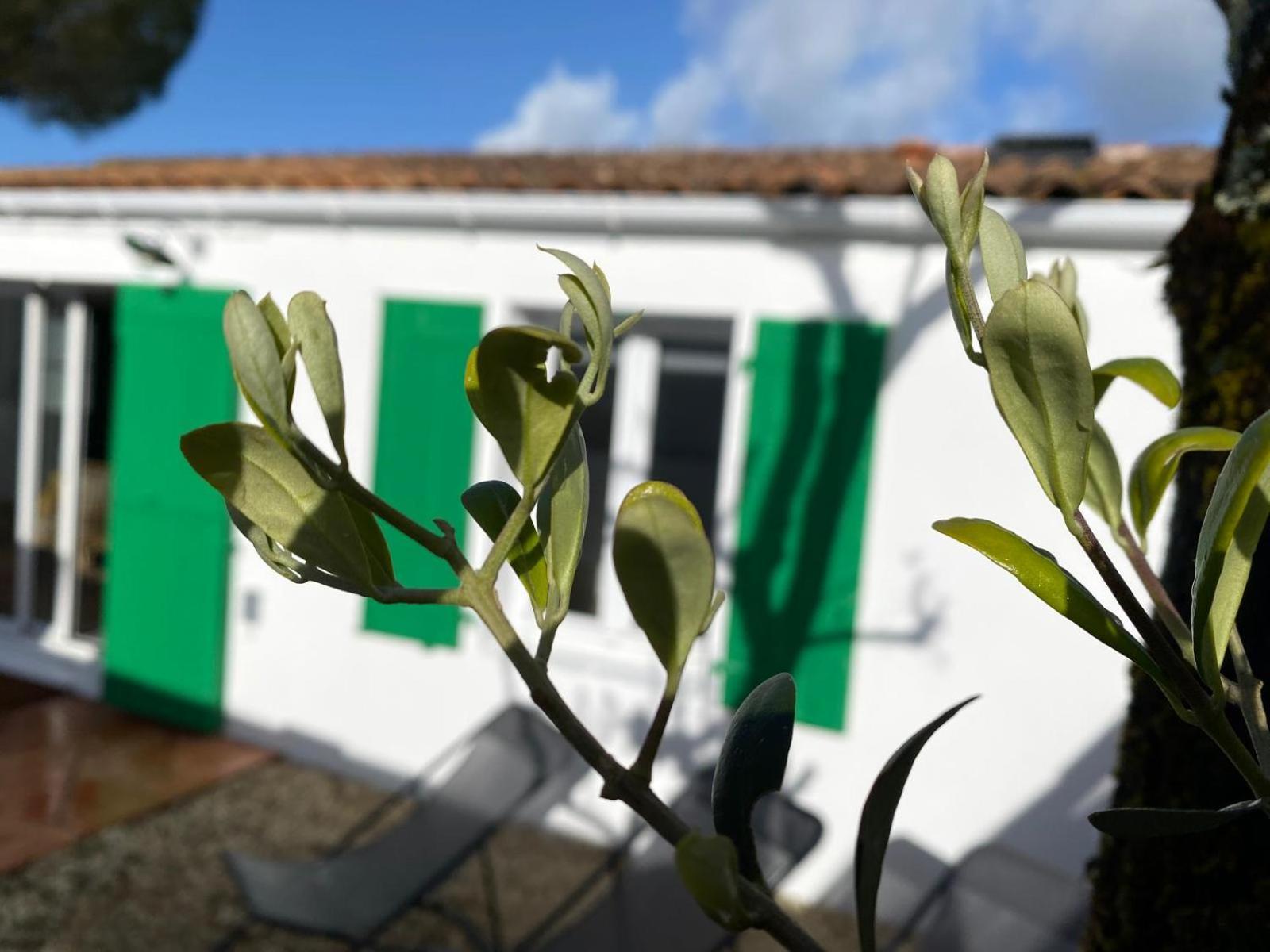 Calme Et Tranquillite -ile De Re Holiday home